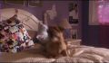 dr dolittle 3-avi_208.jpg